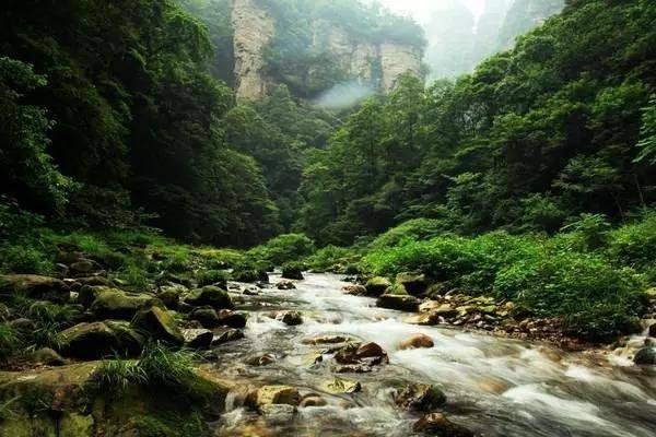 周六足球赛事分析:马洛卡VS皇家贝蒂斯